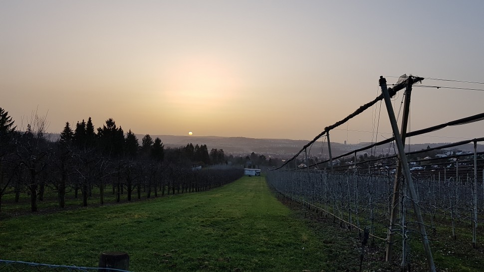 Schön, aber auch ungesund: Sonnenuntergang über der Sahara. Pardon, Stuttgart. Bildrechte Politogo.de