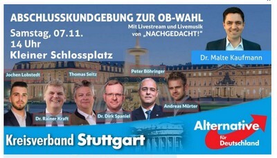 Screenshot AfD-Wahlplakat Malte Kaufmann
