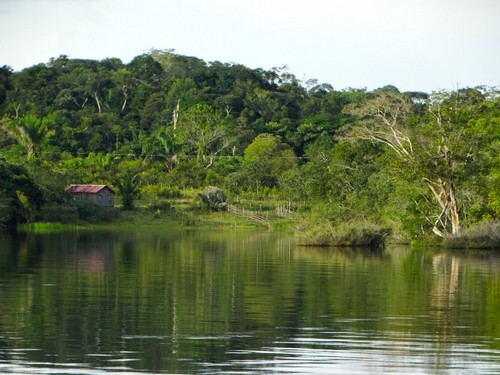 Idylle, die trügt. Der Amazonas-Regenwald ist in Gefahr